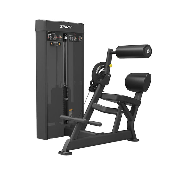 SPIRIT SP-46 Dual Abdominal / Back Extension