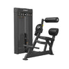 SPIRIT SP-46 Dual Abdominal / Back Extension