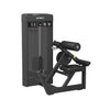 SPIRIT SP-43 Back Extension