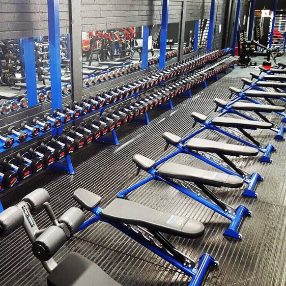 Custom Gym Equipment
