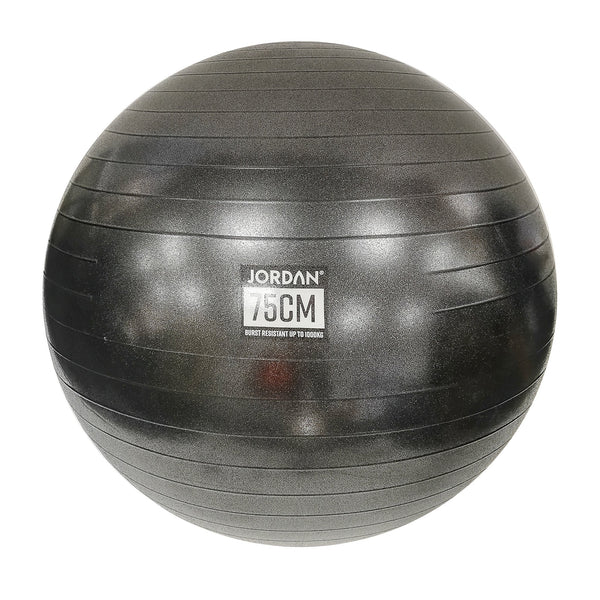 Commercial Fit Balls 75cm