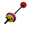 Classic Rubber Studio Barbell Plates (On Sale)